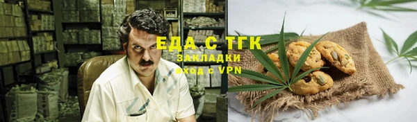 индика Абинск