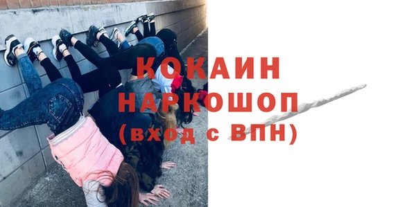 индика Абинск