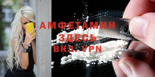 индика Абинск