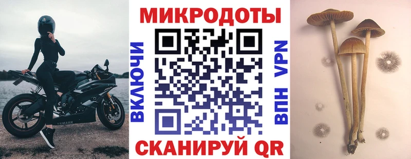 Галлюциногенные грибы GOLDEN TEACHER  Шарья 